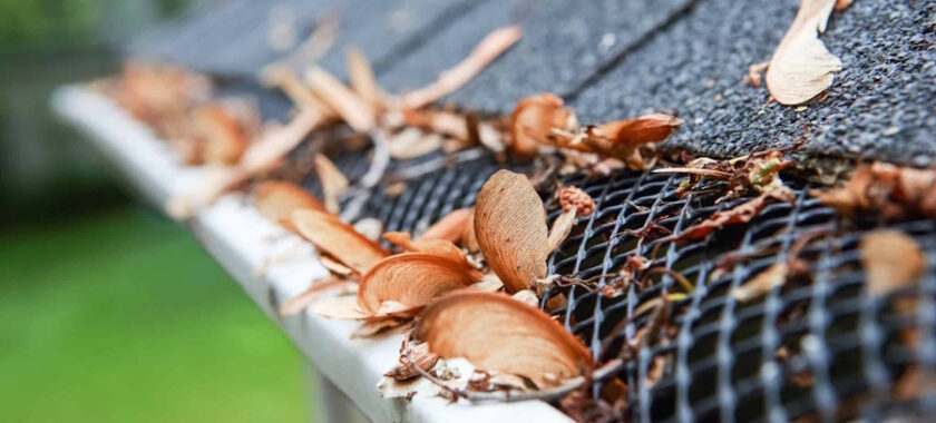 gutter cleaning