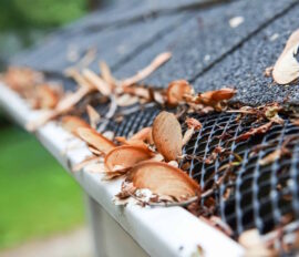 gutter cleaning