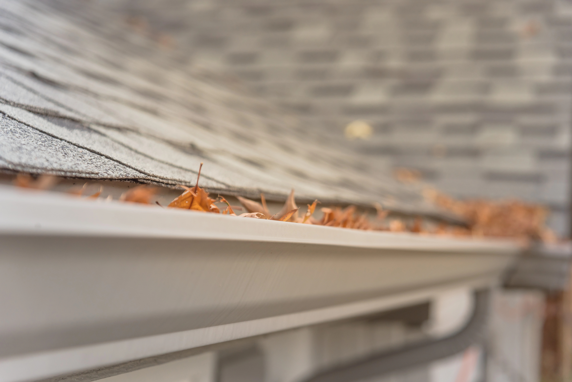 Ohio Gutter - Clogged Gutters